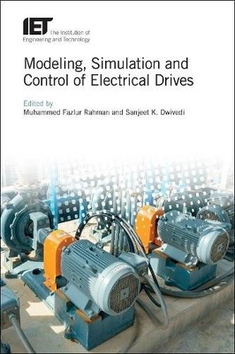 Modeling, Simulation and Control of Electrical Drives (Hardback)