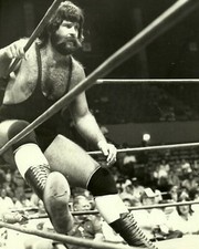 DUTCH MANTEL 8X10 PHOTO WRESTLING PICTURE WWF NWA WWE