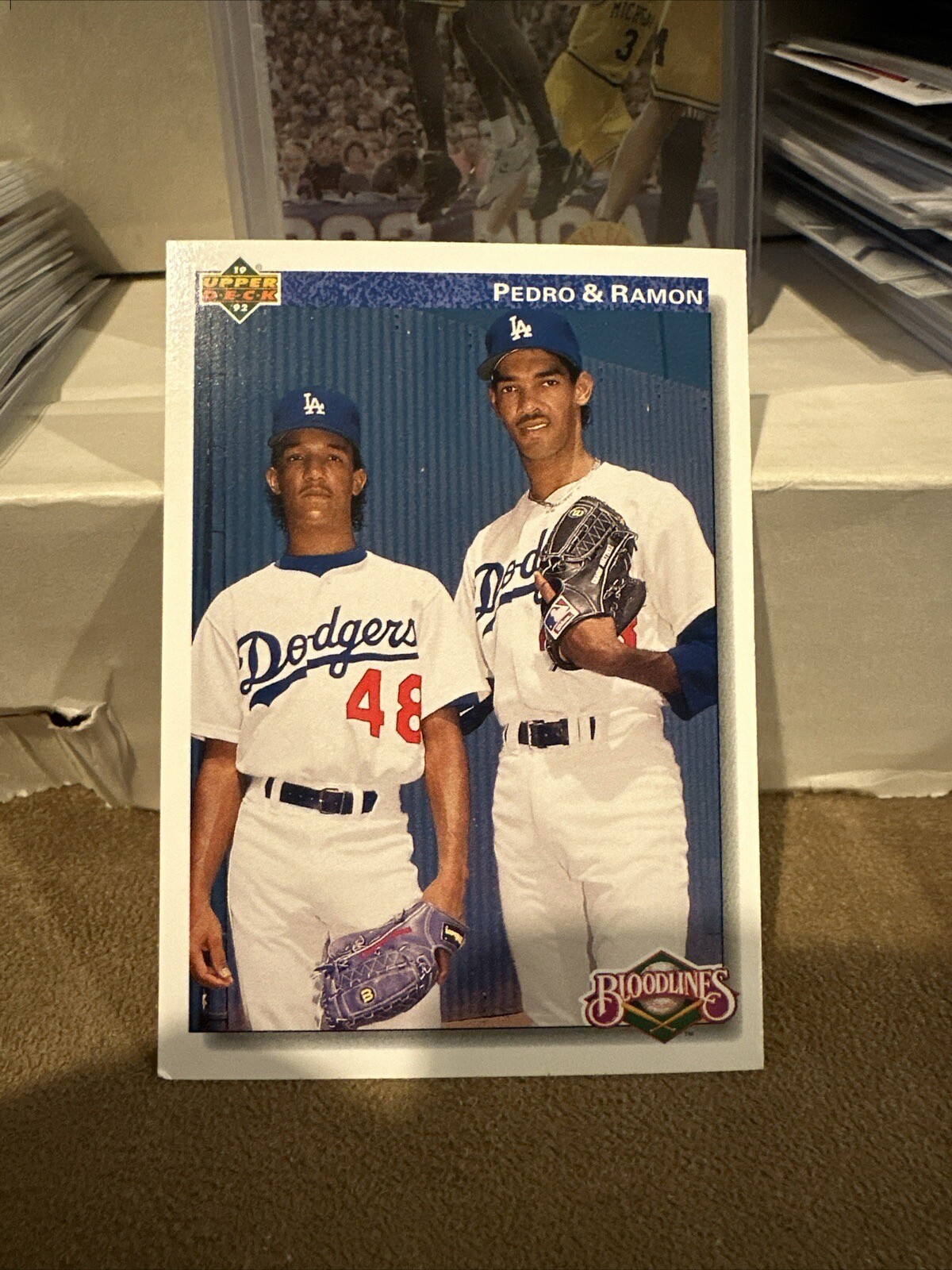 1991 UPPER DECK BLOODLINE PEDRO RAMON MARTINEZ Q0975