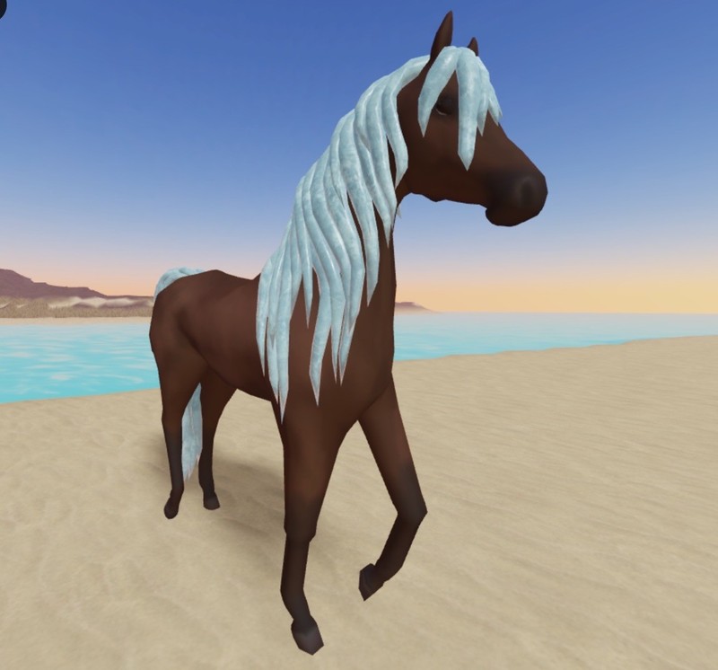 Wild Horse Islands 🌸  IUH Icey Blue   Arab Arabian 🌸