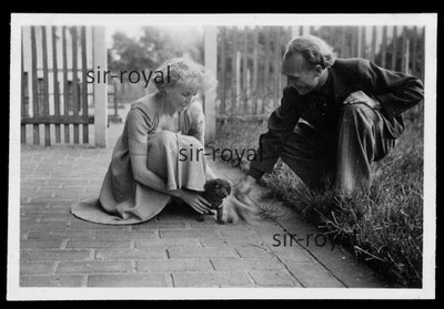 Leipzig 1952 - Dackel Welpe Bürschel - Dachshund Teckel DDR 1950er - Foto 9x6cm