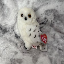 Rare Borders Exclusive Ty Beanie Baby KnOWLedge the Owl - Excellent Condition