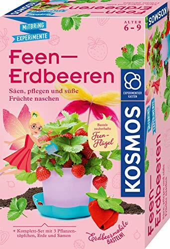 Feen-Erdbeeren: Experimentierkasten (D7s)