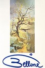 Afbeelding 13 van 16