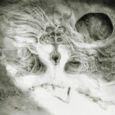 Wastes Into the Void of Human Vacuity (CD) Album (US IMPORT)