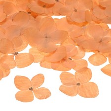 12er-Pack Trockenblumen f&uuml;r Harz, DIY Orange
