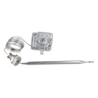 Easypart Passend FüR 55.19022.801 Ego Thermostat 5519022801 FüR HeißWassergeräTe