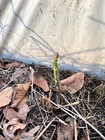 Bild 4 von 11
