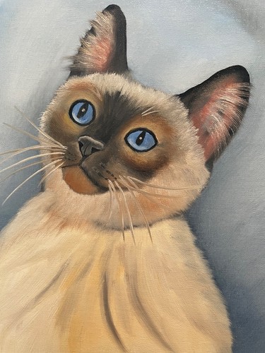 Original oil painting 11 x 14 inches adorable Siamese kitty cat - Picture 3 of 8