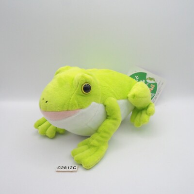 Pyokonto amagaeru C2812C Green Frog Amuse Plush 6