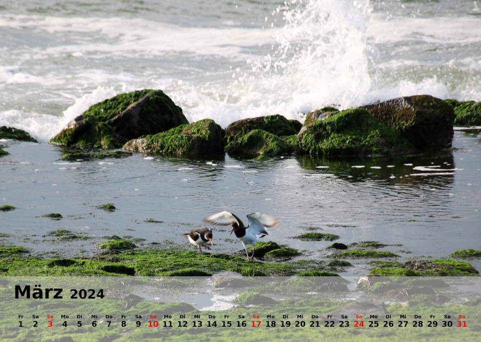 Fotokalender 2024 - 300g hochwertiger Qualitätsdruck matt - Bild 3 von 4