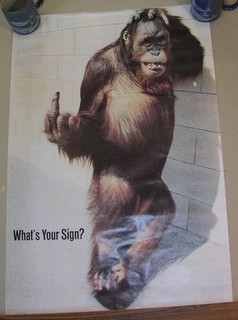 two 1980s posters: CHIMPANZEE gives finger "What's Your Sign?" obscene gesture