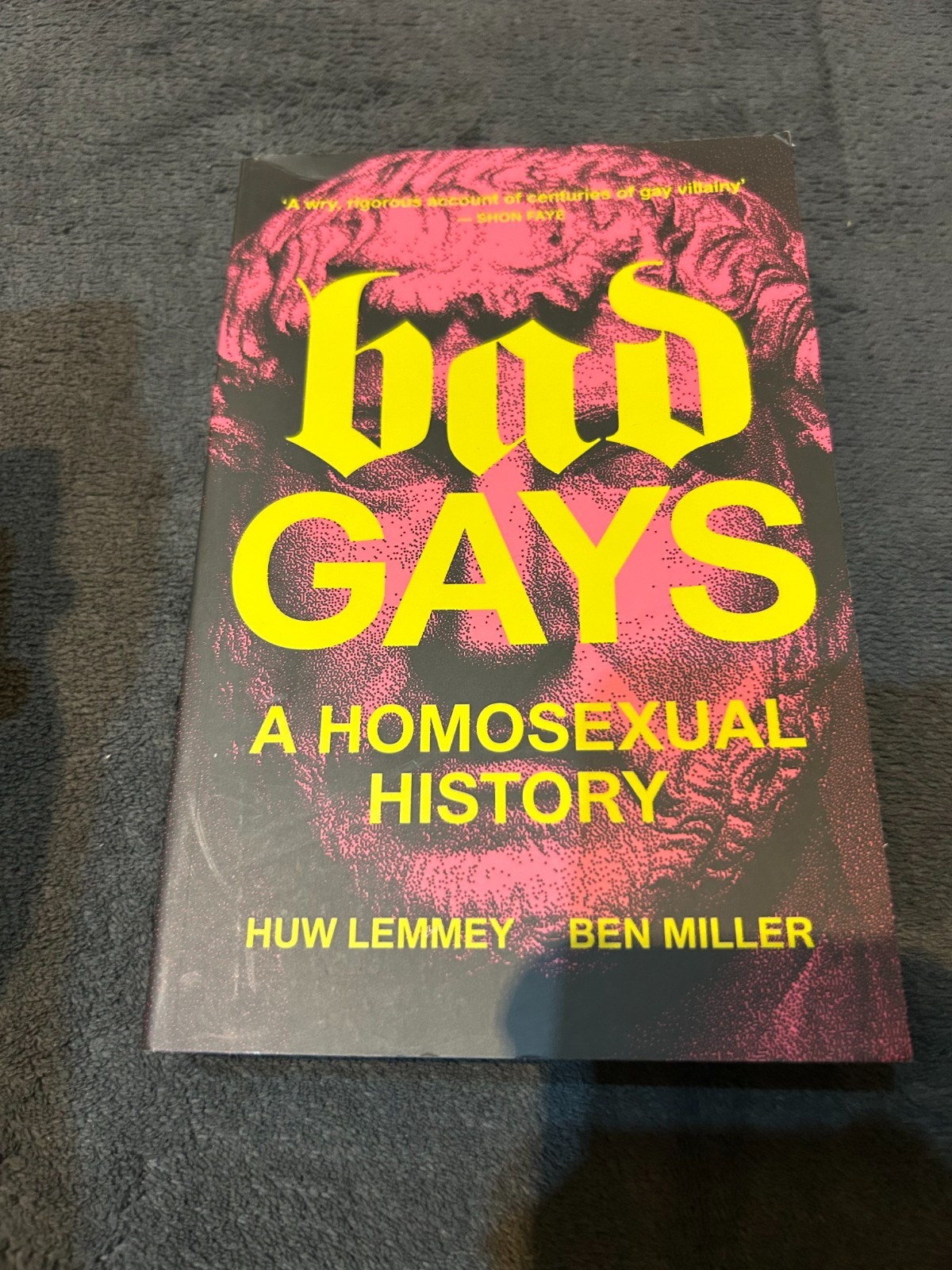 Bad Gays : A Homosexual History by Huw Lemmey and Ben Miller (Paperback) NEW