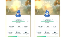 👌Shiny Munchlax (Dazzling Battle Maxo) Pokemon GO👍 Mini PTC or Exchange