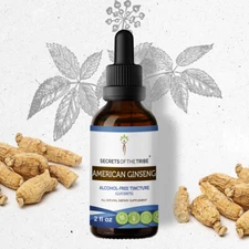 Secrets Of The Tribe American Ginseng Tincture Alcohol-FREE