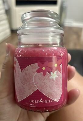New! Gold Canyon 5 Oz Candle Fruit Fusion Pink Hearts & Flowers