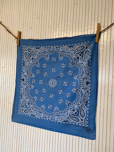 Petit Foulard Bandana USA Coton Bleu Springs Vintage idée Cadeau mixte FO535 - Imagen 2 de 12