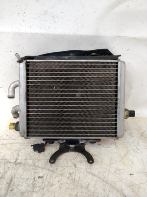 WASSERKÜHLER KOMPLETT FÜR APRILIA LEONARDO 250 VON 2001 (E51168)
