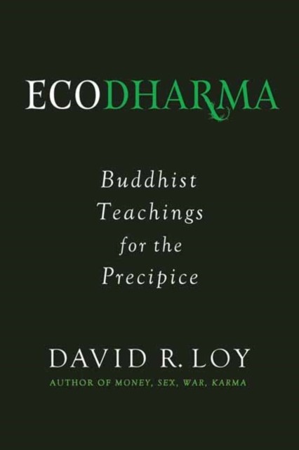Ecodharma Buddhist Teaching for the Precipice by David Loy (Paperback Book)