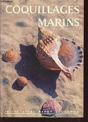 SEEMUSCHELN / SAMMLUNG PETIT ATLAS PAYOT LAUSANNE NR. 33., Unbekannt