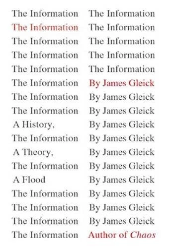 The Information: A History, a Theory, a Flood - Hardcover - VERY GOOD