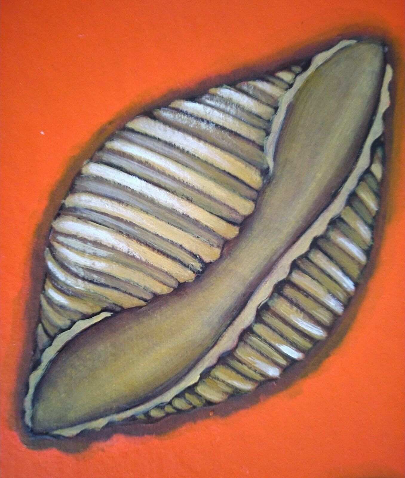 Picture 4 of 8