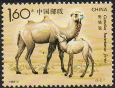 China PRC #Mi2468 MNH 1993 Camelus Bactrianus Ferus [2434]