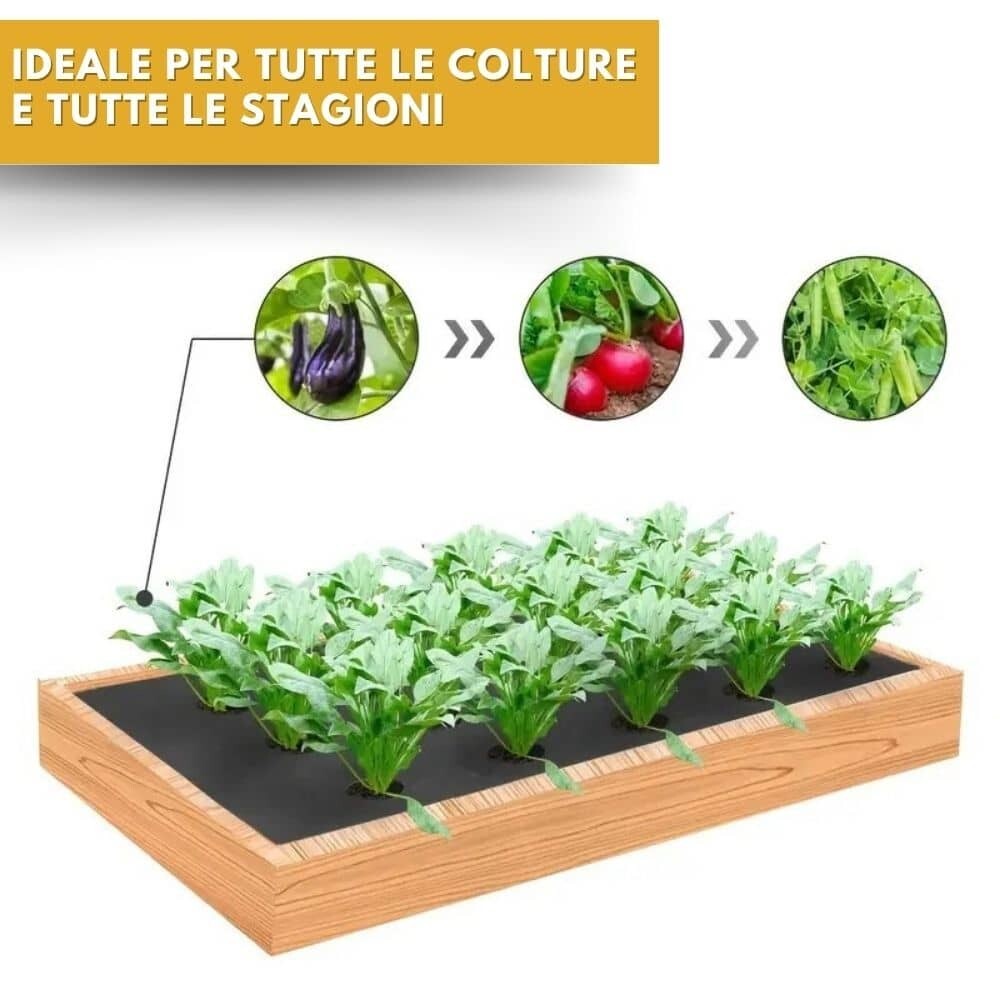 Telo Pacciamatura Biodegradabile "BASF" Largh. 100 Cm Fori Sfalsati 40 Cm 400 Mt Eiffel - Foto 10