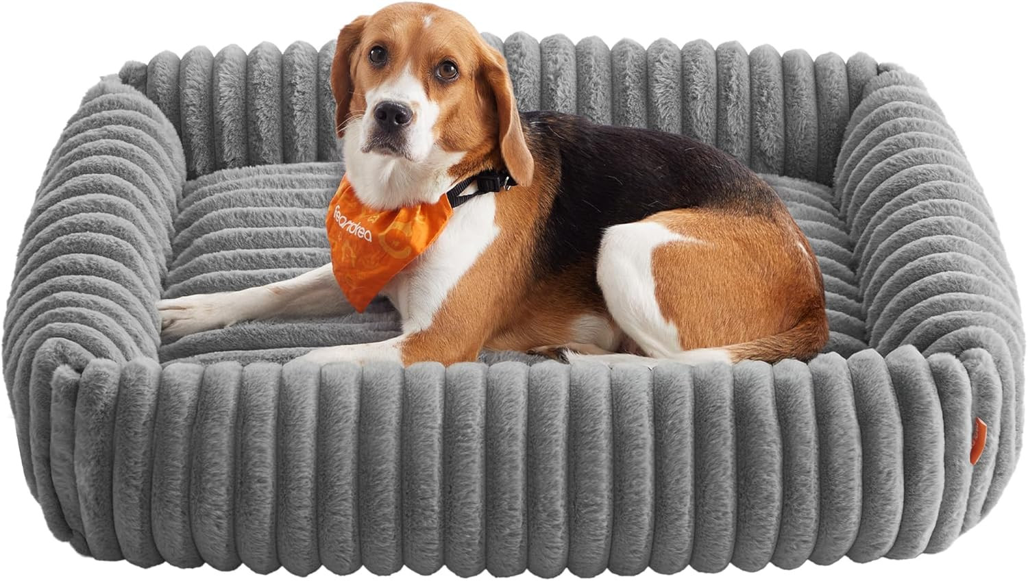 Lettino Ortopedico Cani Grandi Sfoderabile | Memory Foam e Igiene