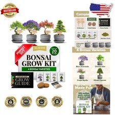 Deluxe Bonsai Tree Kit - 4 US Grown Varieties, Heirloom Seeds, USA Made, Low ...