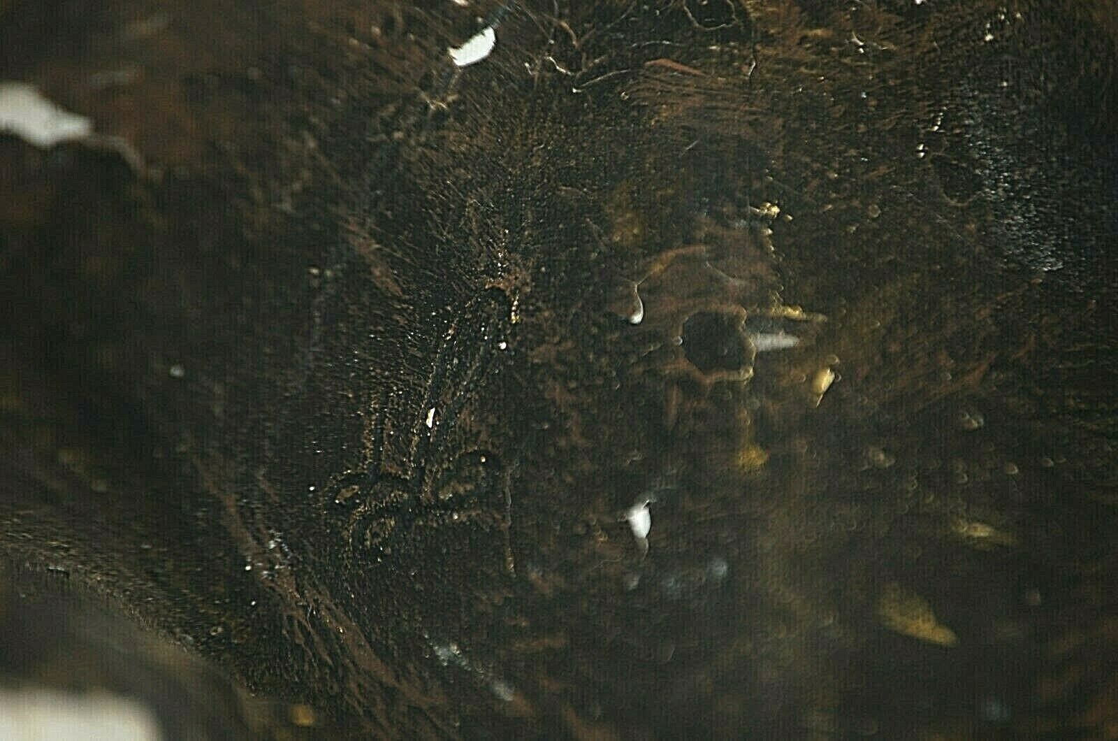 Picture 4 of 6