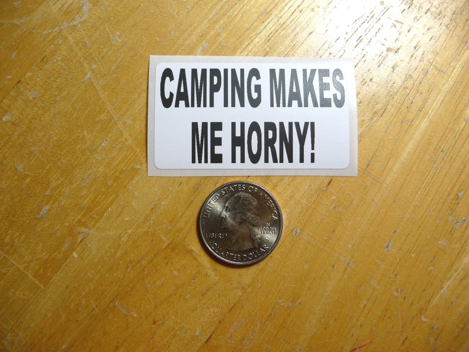 CAMPING MAKES ME HORNY STICKER DECAL 1 - 50 BULK PACK AVAILABLE