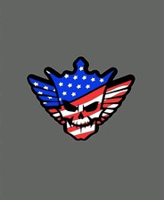Cody Rhodes The American Nightmare Vinyl Stic...