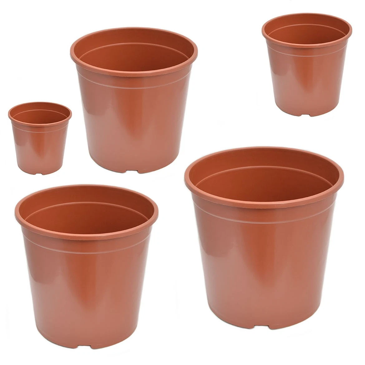 Pflanztpfe 12cm online kaufen | eBay.de