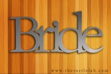 Bride Wedding Gift Plaque Sign Metal Wall Art Decor Decoration Present