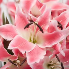 21" Pink Artificial Tiger Lily Decorative Floral Bush