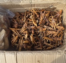 Dehydrated Chicken Feet Treats for Dogs 50 count 