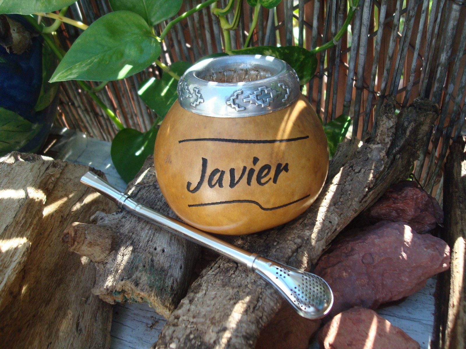 Imagen 7 de 10
