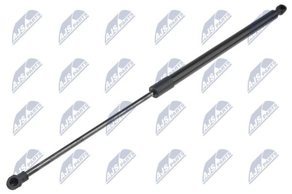 NTY AE-CT-044 Pneumatischer StoßDäMpfer FüR CitroëN Kofferraumklappe-image