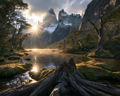 Misty Lake and Snowy Peaks Beyond an Ancient Fallen Tree Print - 883394363