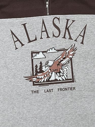 Men's Letters Embroidered Raglan Sleeve Quarter Zip X-Large Alaska-deep Coffee - Picture 4 of 5