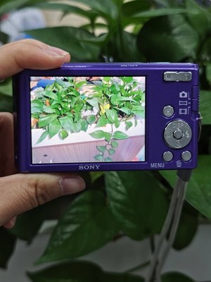 Sony Cyber-Shot Dsc-W830 20.1MP Purple Compact 32x Digital Zoom 95