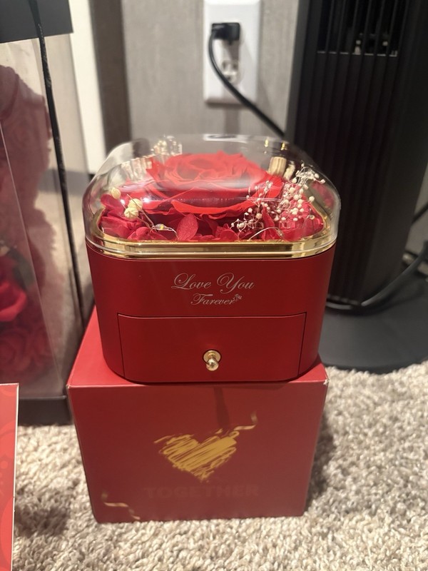 Together Red Love Jewelry Box w/ Drawer, Clear Dome Lid, Lined Ring Holder