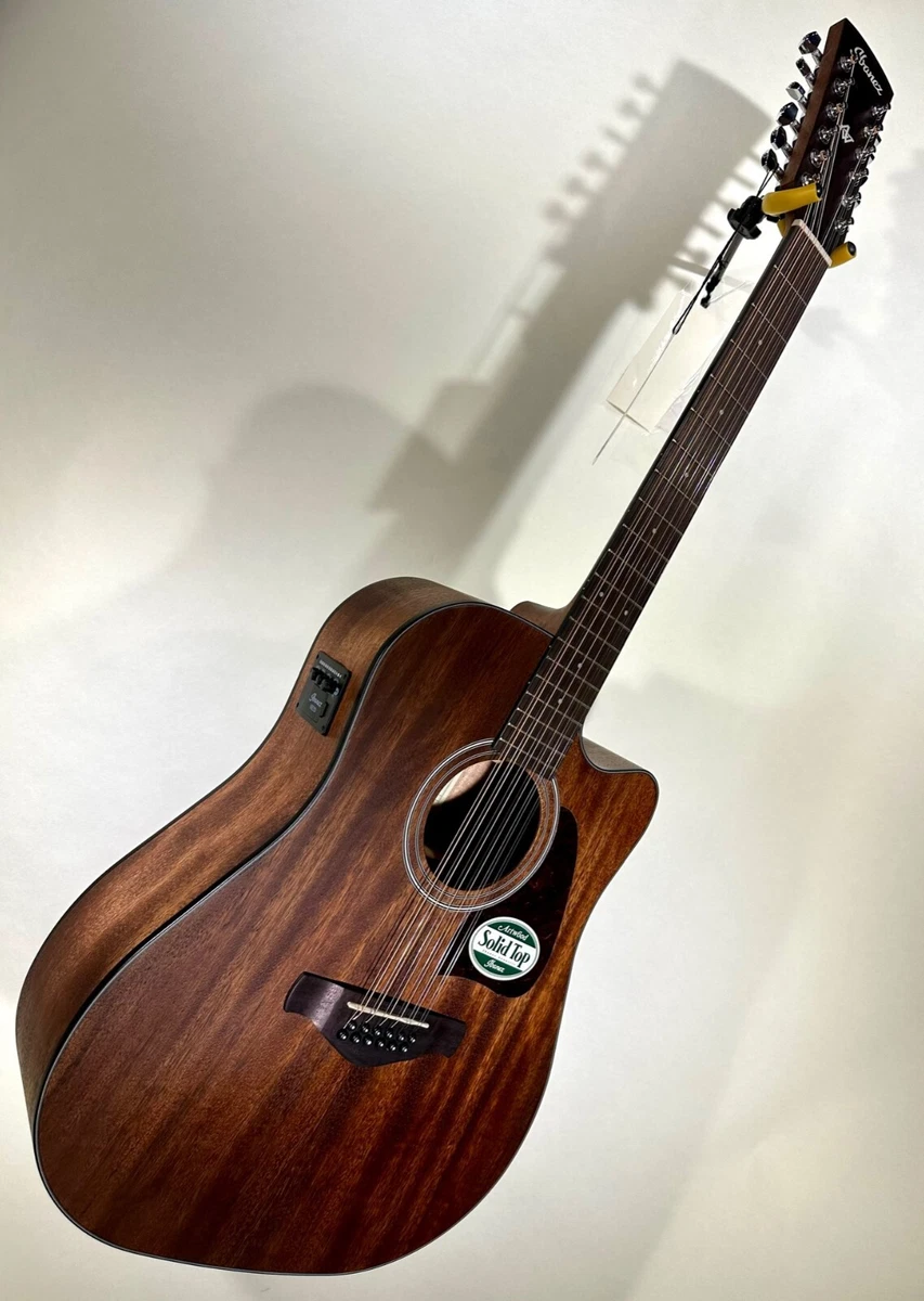 Ibanez AW5412CE 12 String Acoustic Electric Guitar Open Pore