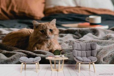 3D Cat Self-adhesive Removeable Wallpaper Wall Mural