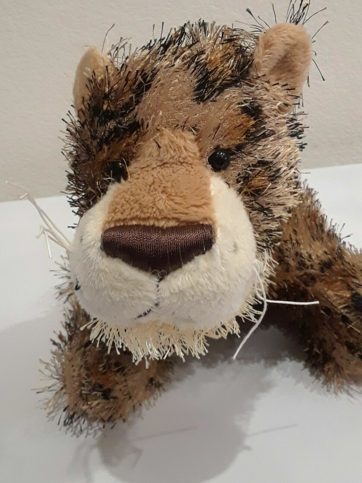 Picture 5 of 5