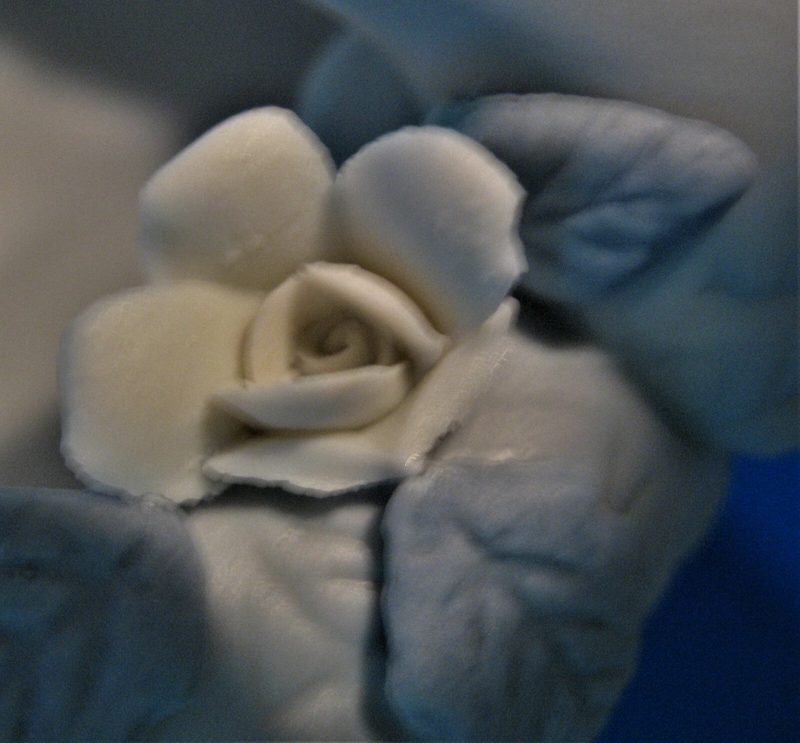 Picture 10 of 12