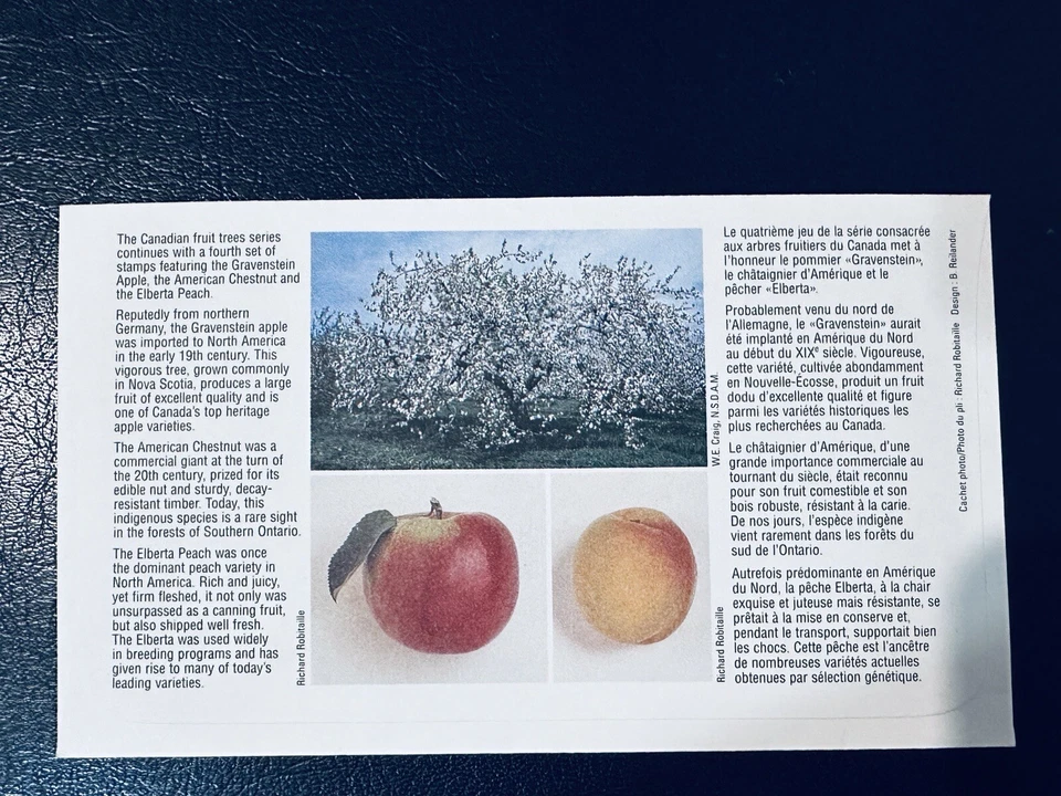 CANADA 1995 FDC NUT TREES VINELAND ONTARIO POSTMARK - Image 2 of 2