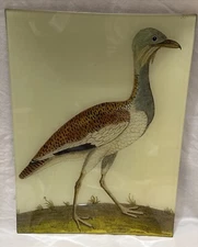 John Derian Company #39 Female Bustard Bird Rectangle Tray Signed