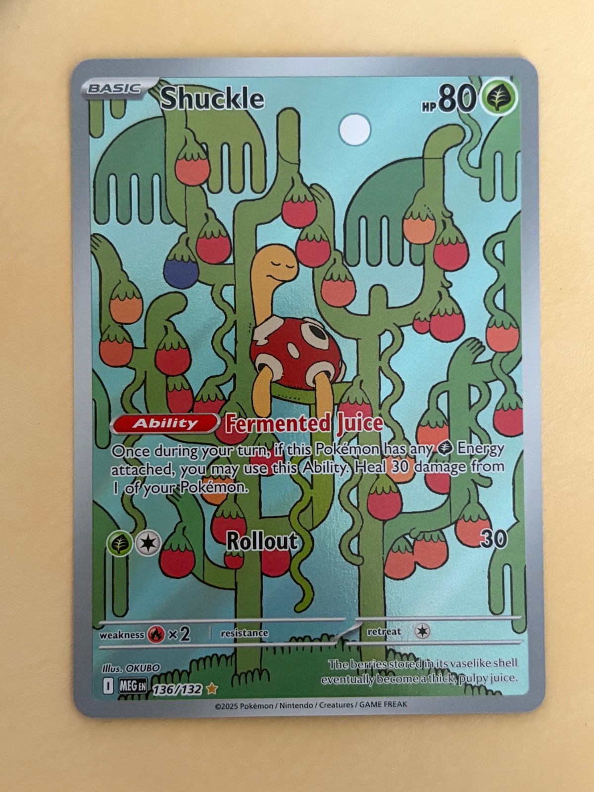 Shuckle~Cute Pokemon Card~ Botanical Garden Gallery ~Nature